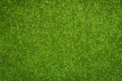 Commercial Artificial Grass Vs Natural Landscaping