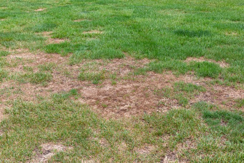 Repairing Seams And Edges In Artificial Grass